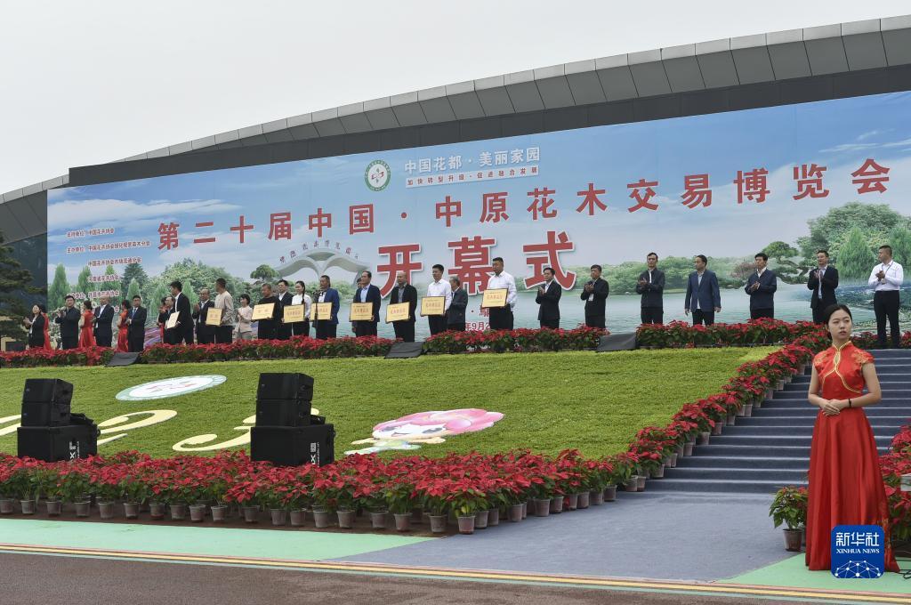 澳门在线技巧